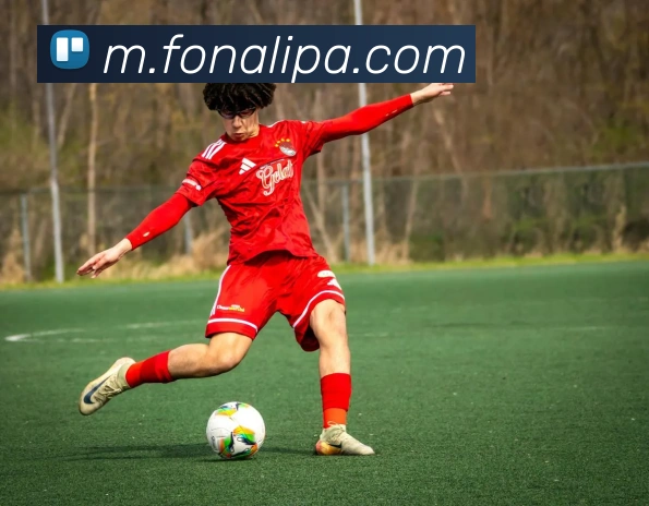 多媒体互动体验